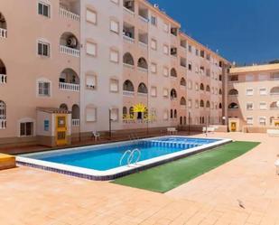 Swimming pool of Apartment to rent in Torrevieja  with Air Conditioner, Terrace and Swimming Pool