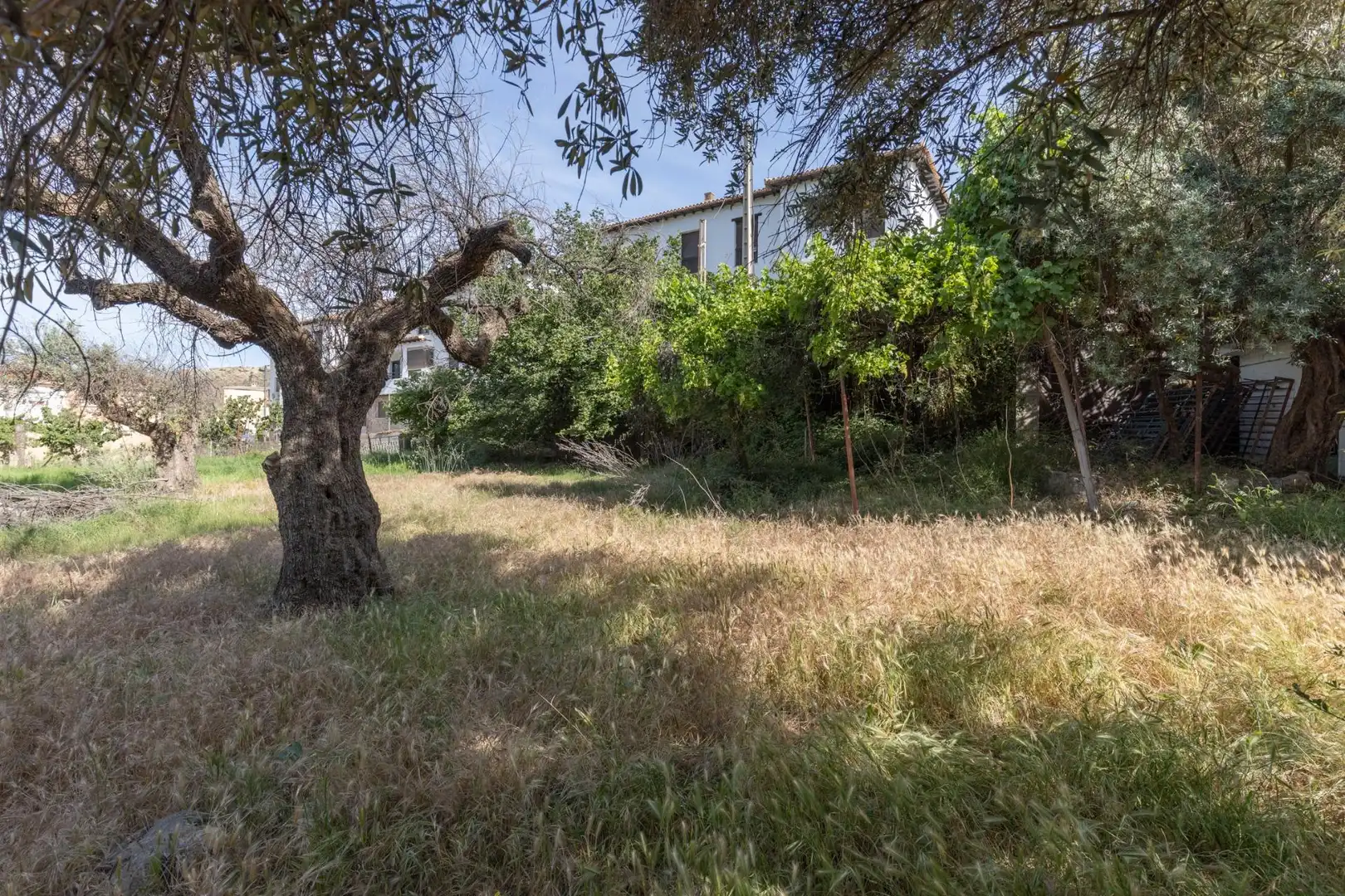 Lands and plots for sale in Carretera de Maitena, imagen 8