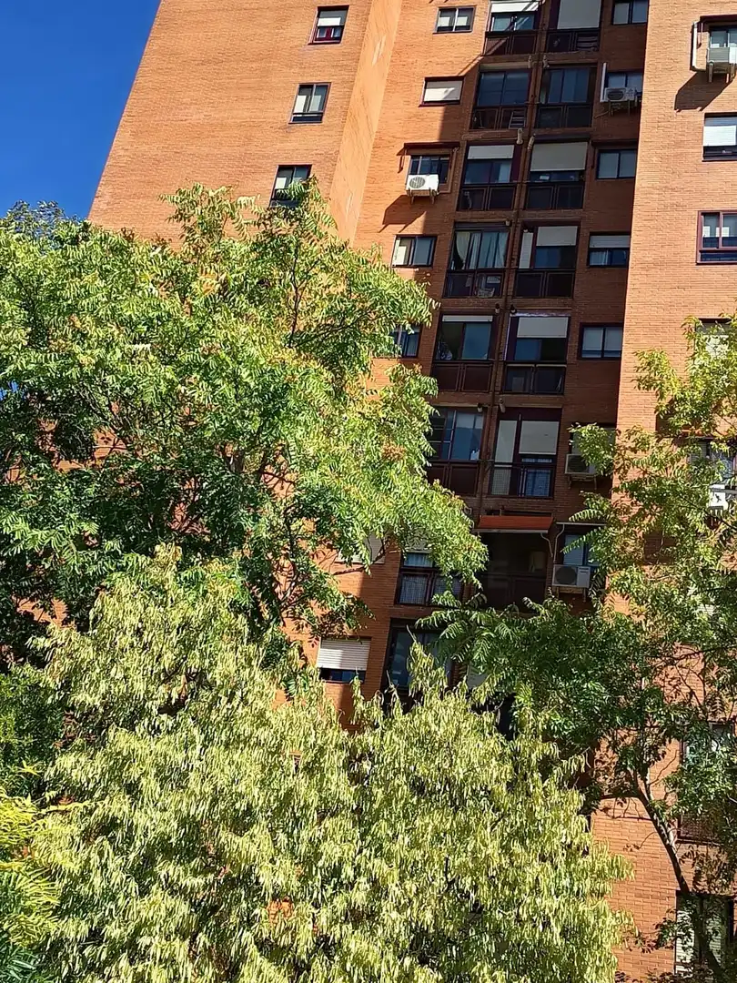 Einzelparkplatz zum Verkauf in Calle de Bohemios 9, imagen 14