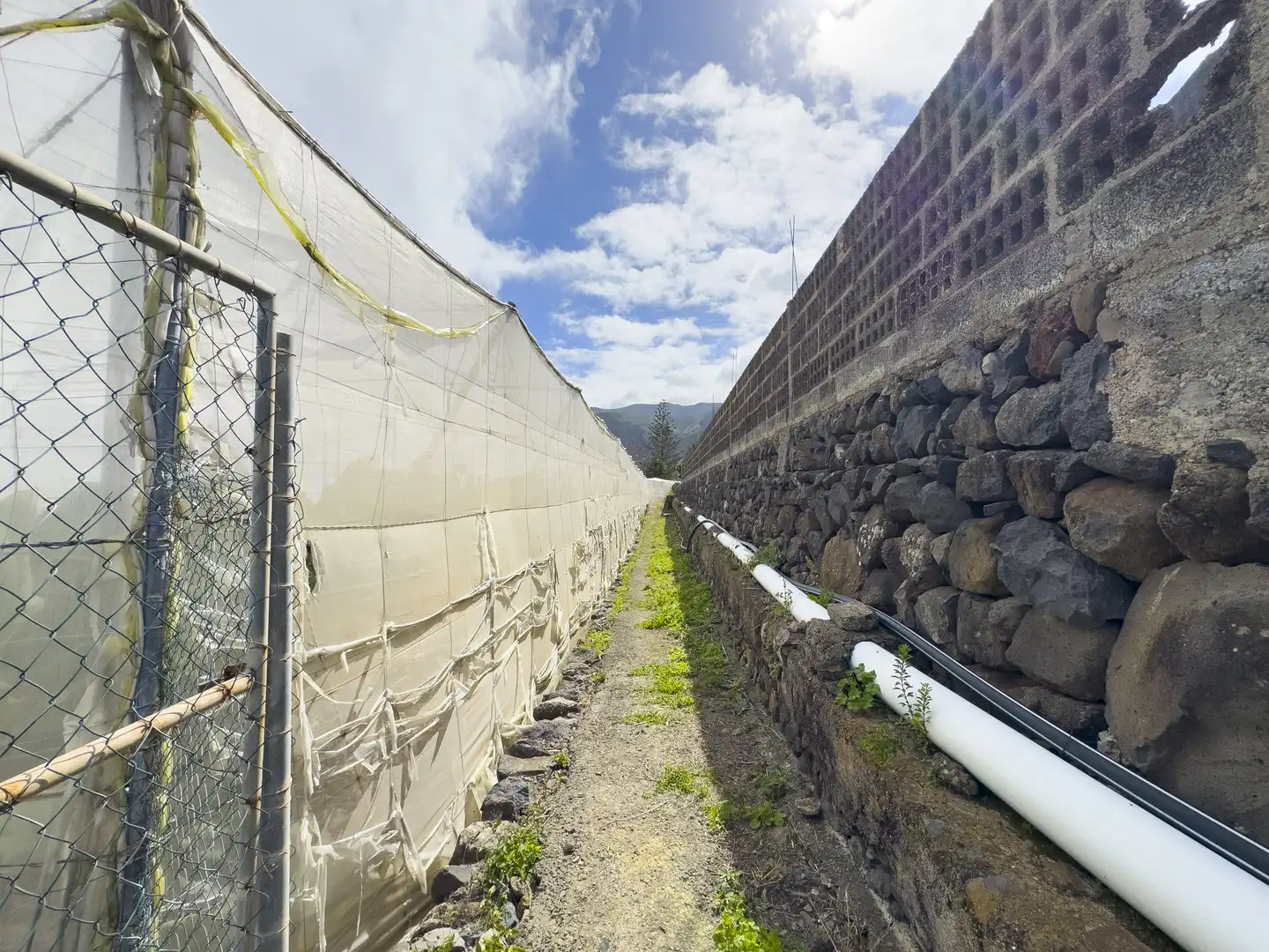 Exterior view of Land for sale in Los Silos