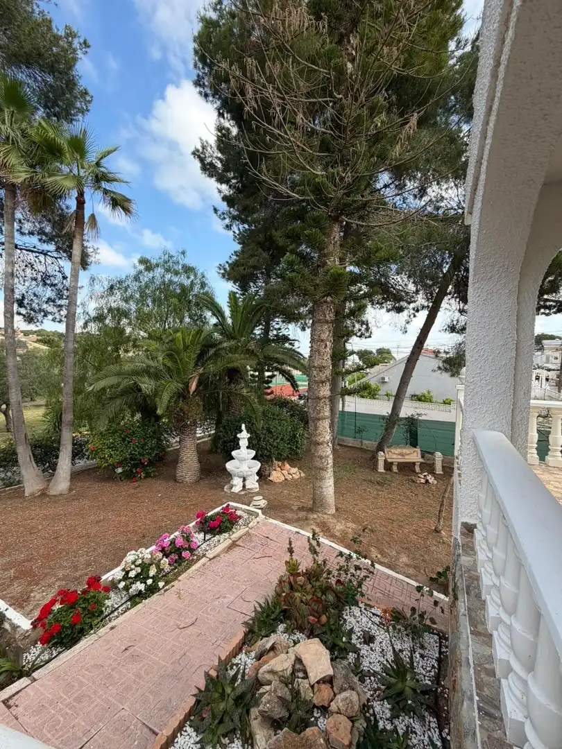 Garden of Houses for rent in Torrevieja