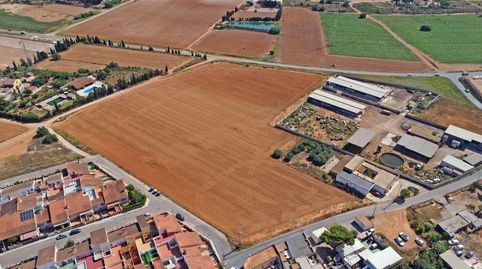 Foto 4 de Finca rústica en venta en Calle Casicas, Las-ds el Plan, Polígono Santa Ana, Cartagena