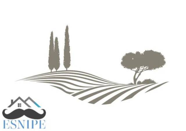 Finca rústica en Venta en Ricote