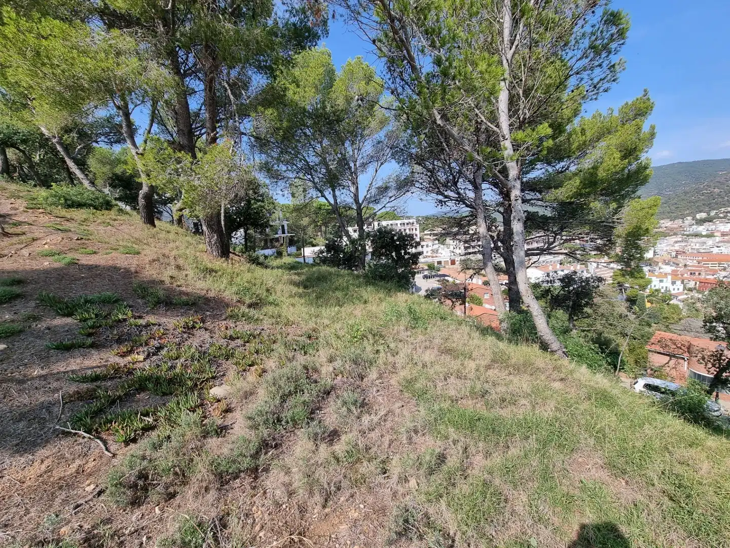 Grundstücke und Bauplätze zum Verkauf in Tossa de Mar pueblo, imagen 10