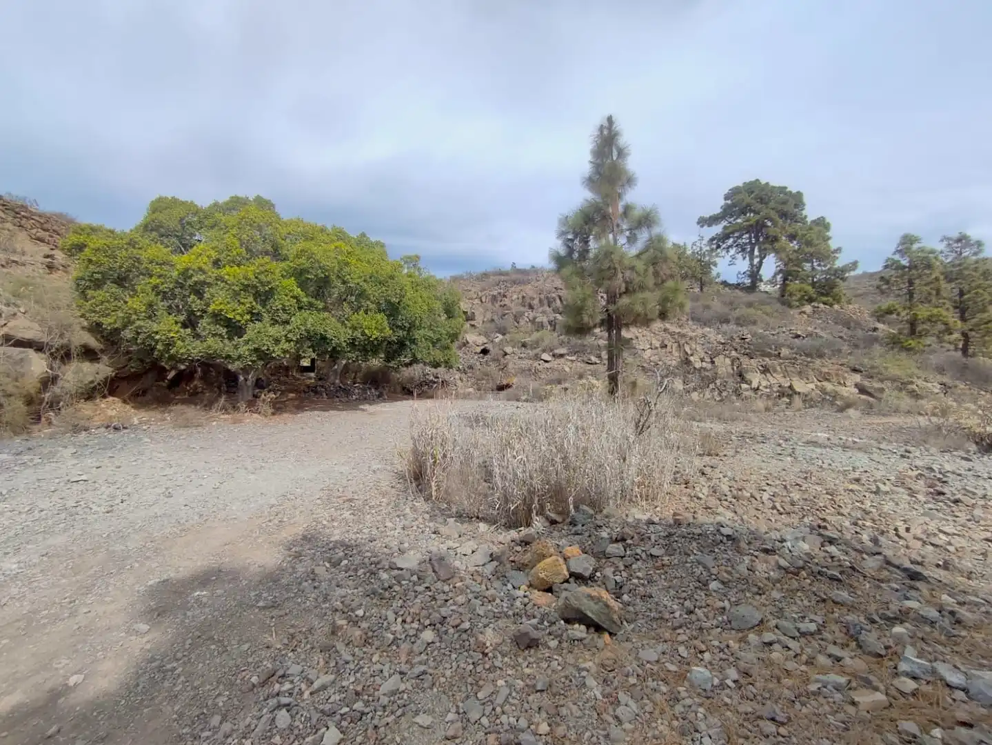 Terreno rústico en venta en Vilaflor de Chasna, imagen 11