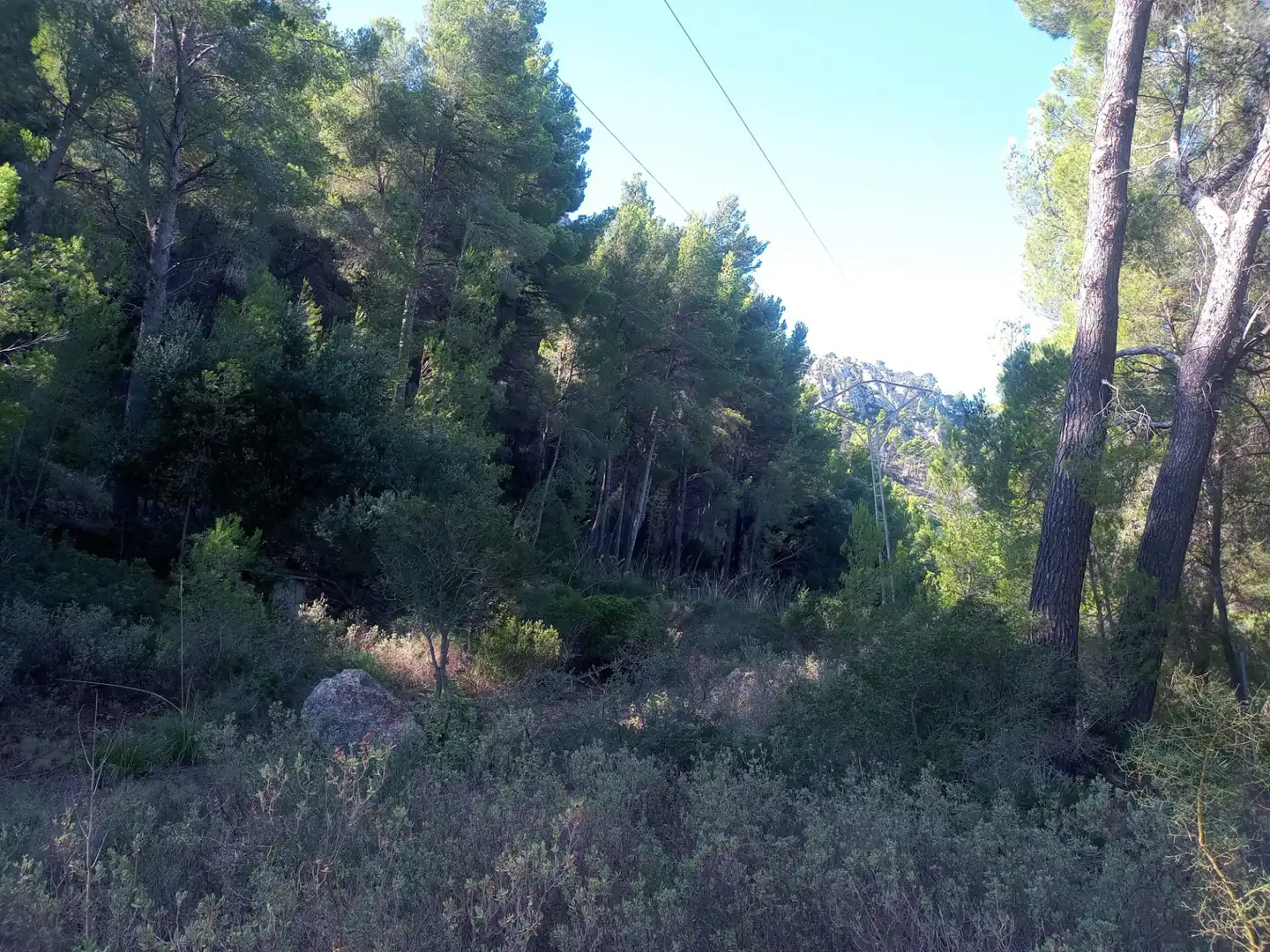 Land for sale in Estellencs