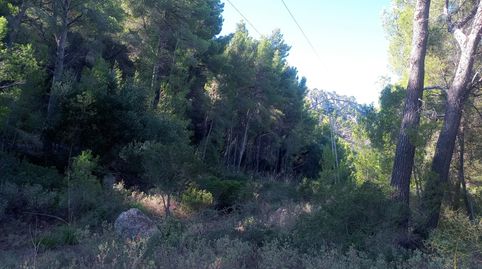 Photo 2 of Land for sale in Diseminado Carretera a Andratx, Estellencs, Illes Balears
