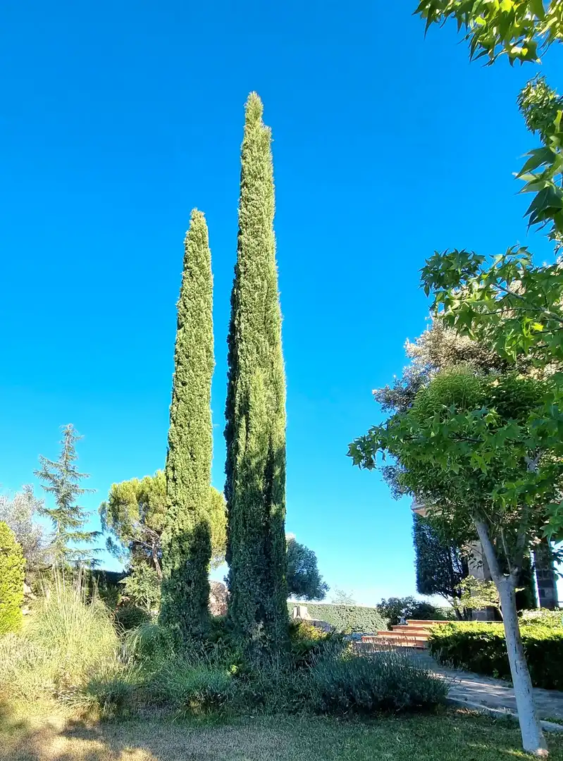 Casa o chalet de alquiler en Calle Enrique Granados, 8, Hoyo de Manzanares