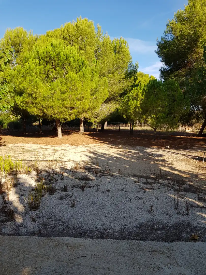 Finca rústica en venta en Santa Oliva con Calefacción, Jardín privado y Piscina