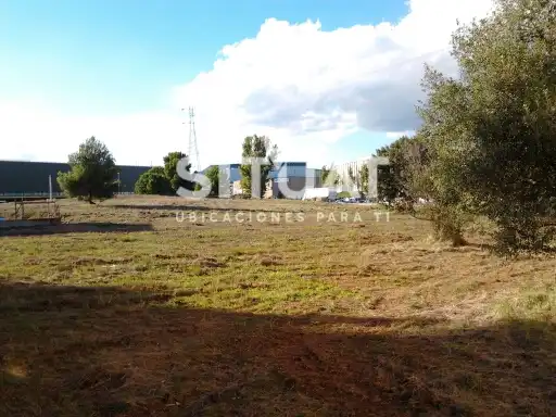 Fabrik Grundstücke zur Miete in Abrera