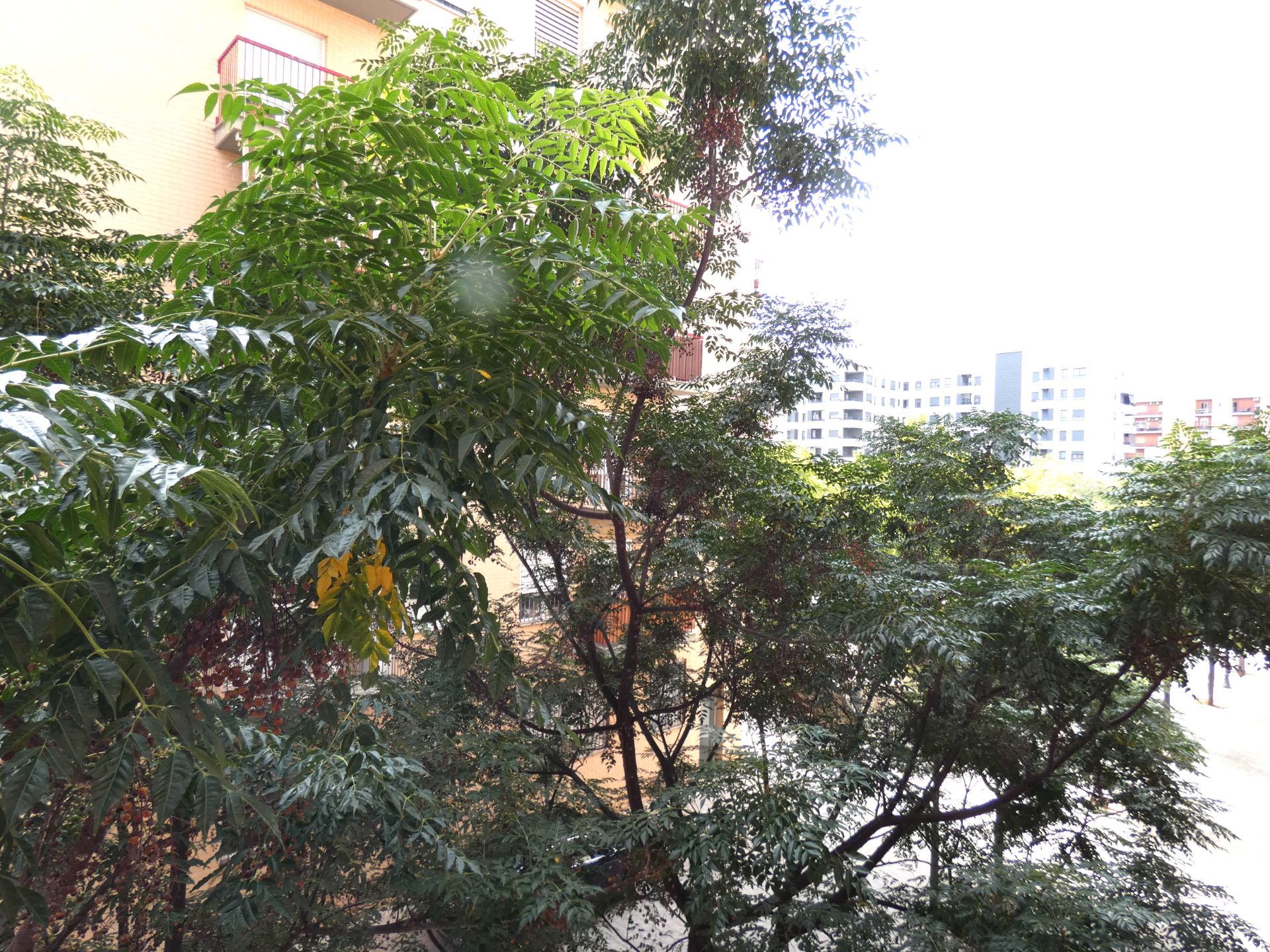 Garden of Flat for sale in  Valencia Capital  with Heating, Furnished and Oven