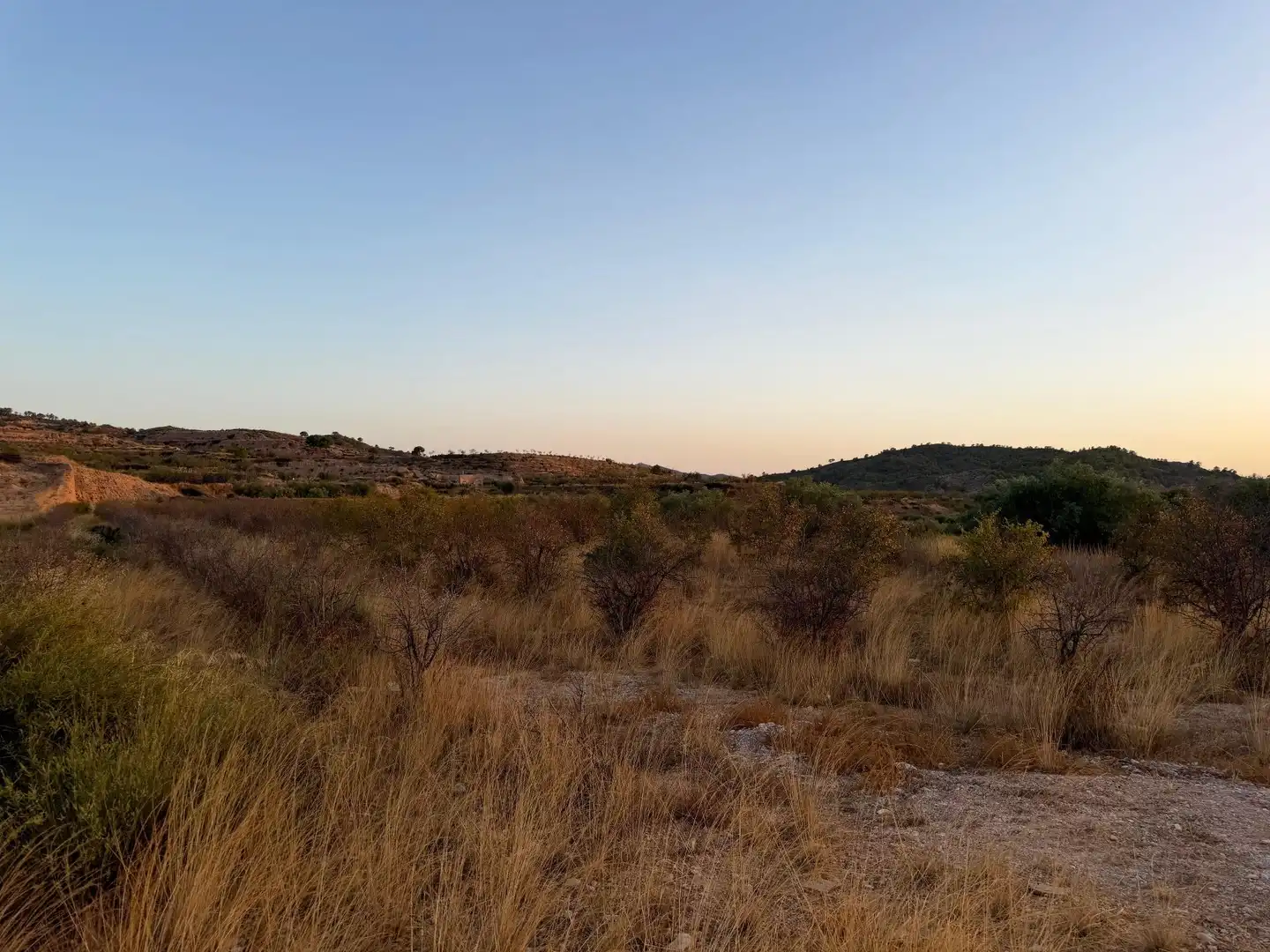 Lands and plots for sale in Abanilla, imagen 2