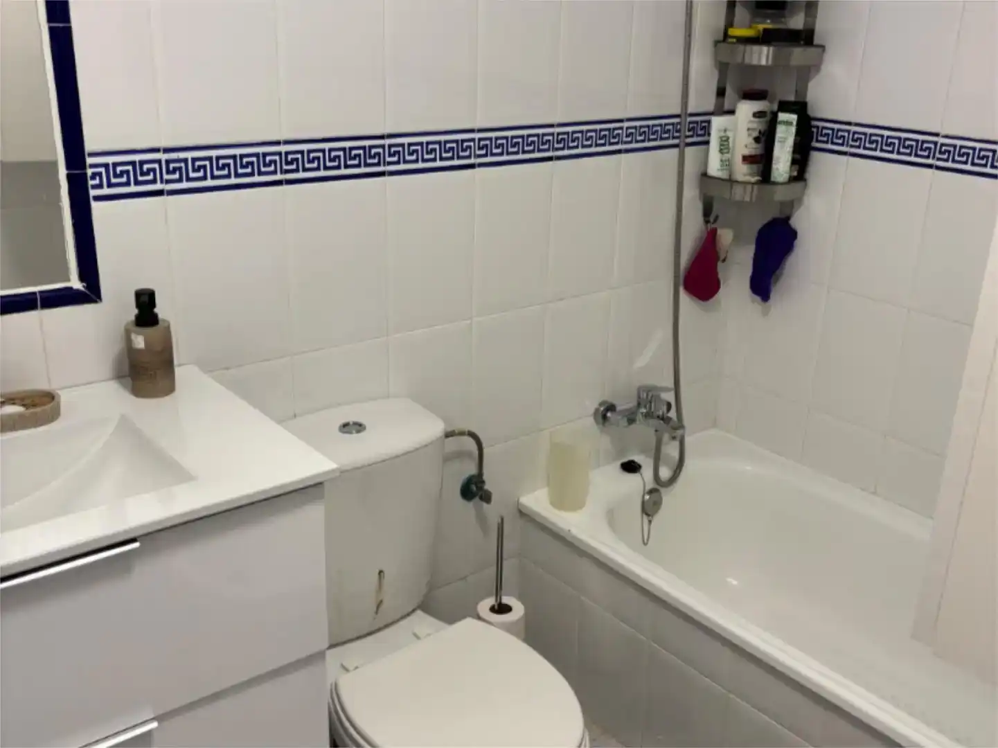 Bany de Pis per a compartir en Casares amb Jardí privat, Piscina i Moblat