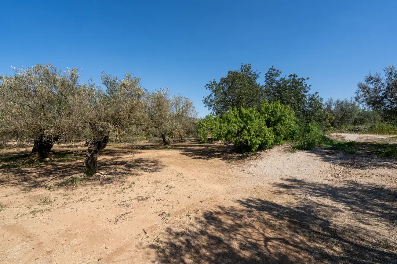 Terreno rustico in vendita a Camí Colomar 14, imagen 12