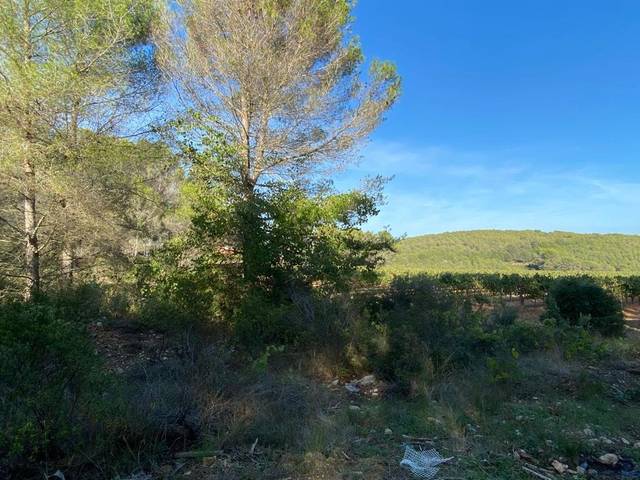 Terreno residencial en Venta en Olèrdola