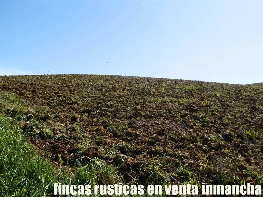 Terreno rustico in vendita a Casco Histórico, imagen 19