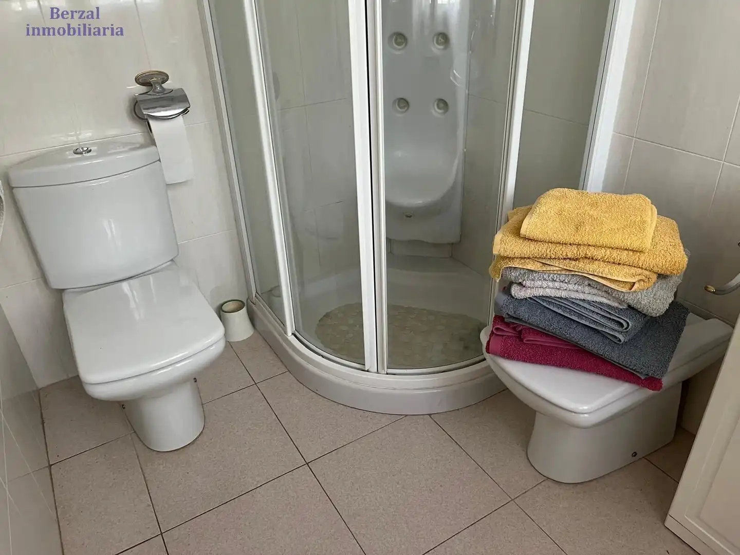 Bany de Casa o xalet en venda en Nalda amb Jardí privat, Terrassa i Traster