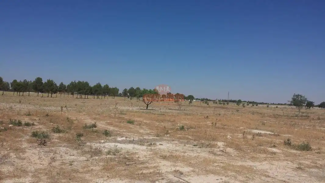 Terreno rustico in vendita a Pedanías - Extrarradio, imagen 3