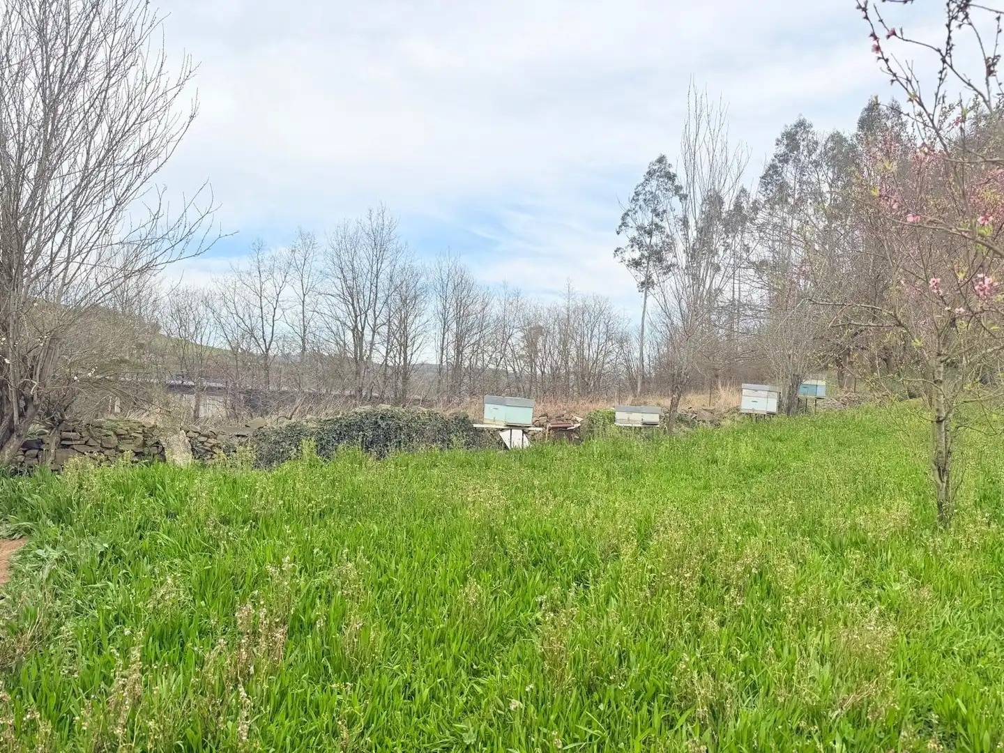 Casa o xalet en venda en Las Regueras  
