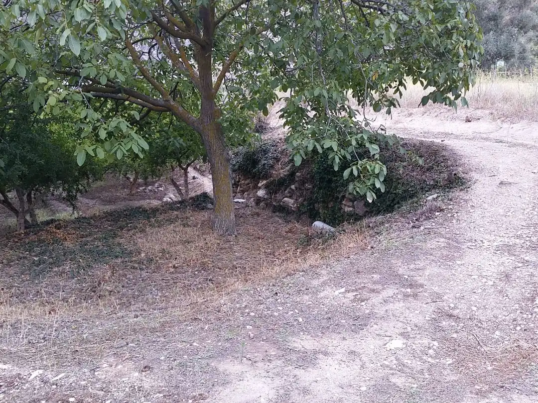 Rustikales Grundstück zum Verkauf in Calle Alta 24, imagen 15