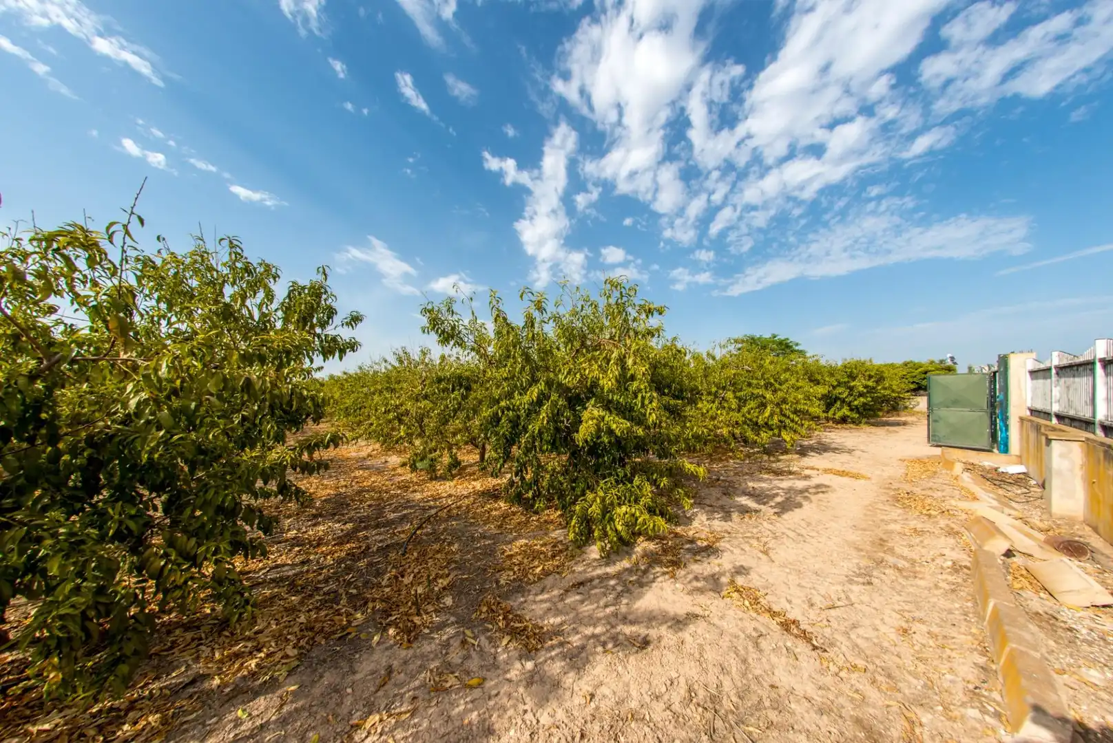 Haus oder Chalet zum Verkauf in Murcia, Murcia