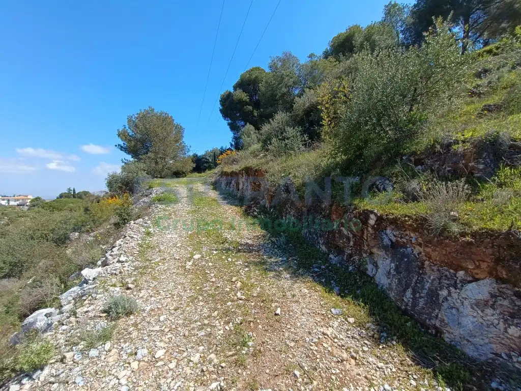 Terreno rustico in vendita a Diseminados Diseminados, imagen 8