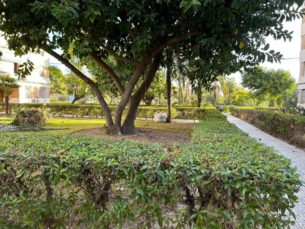 Planta baja en venta en Alicante / Alacant con Aire acondicionado y Calefacción