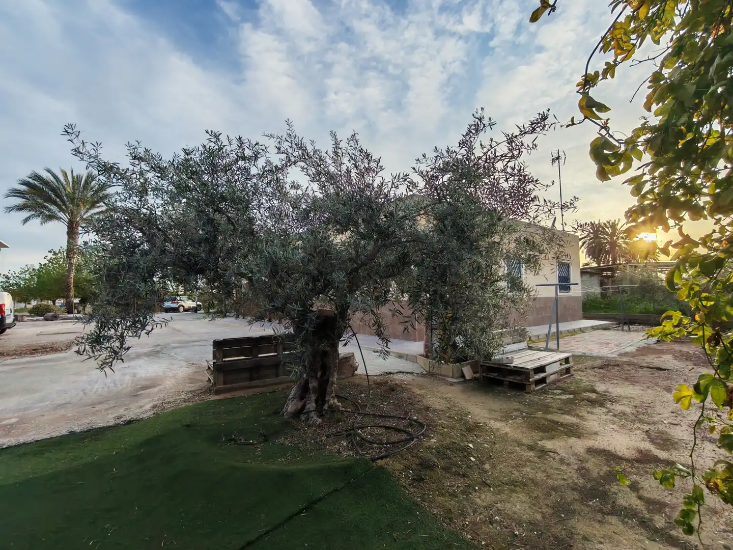 Garten von Einfamilien-Reihenhaus zum Verkauf in Elche / Elx mit Klimaanlage, Privatgarten und Terrasse