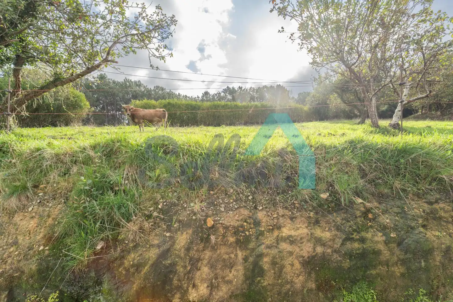 Casa o xalet en venda en Cudillero amb Jardí privat i Traster