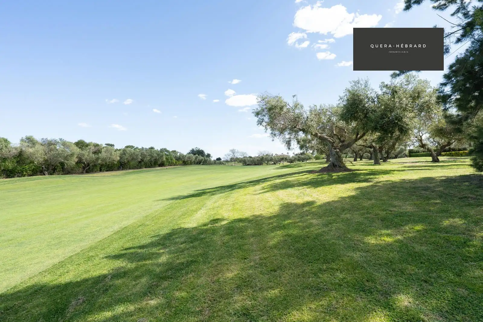 Jardí de Casa o xalet en venda en Población de Arroyo amb Calefacció, Jardí privat i Parquet