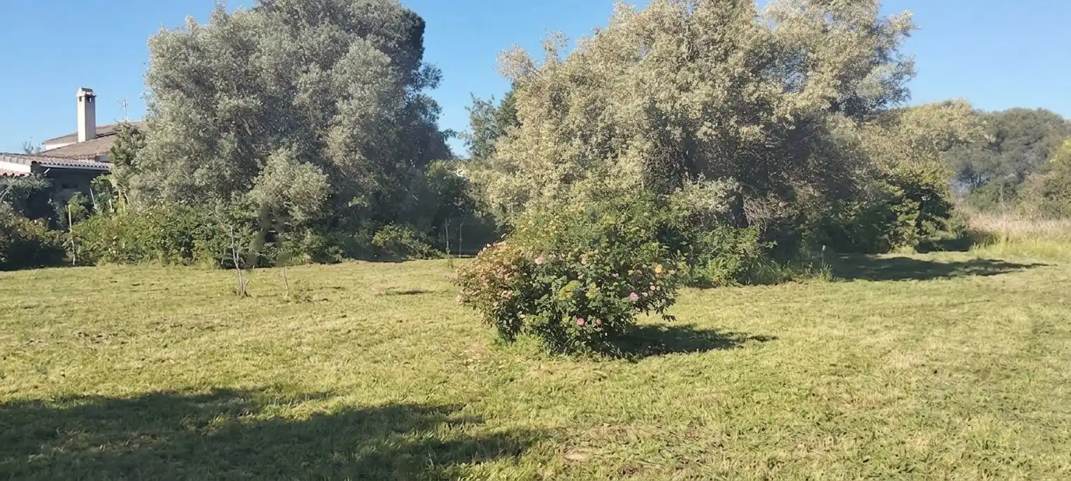 Terreni e lotti in vendita a Los Franceses – La Vega, imagen 14