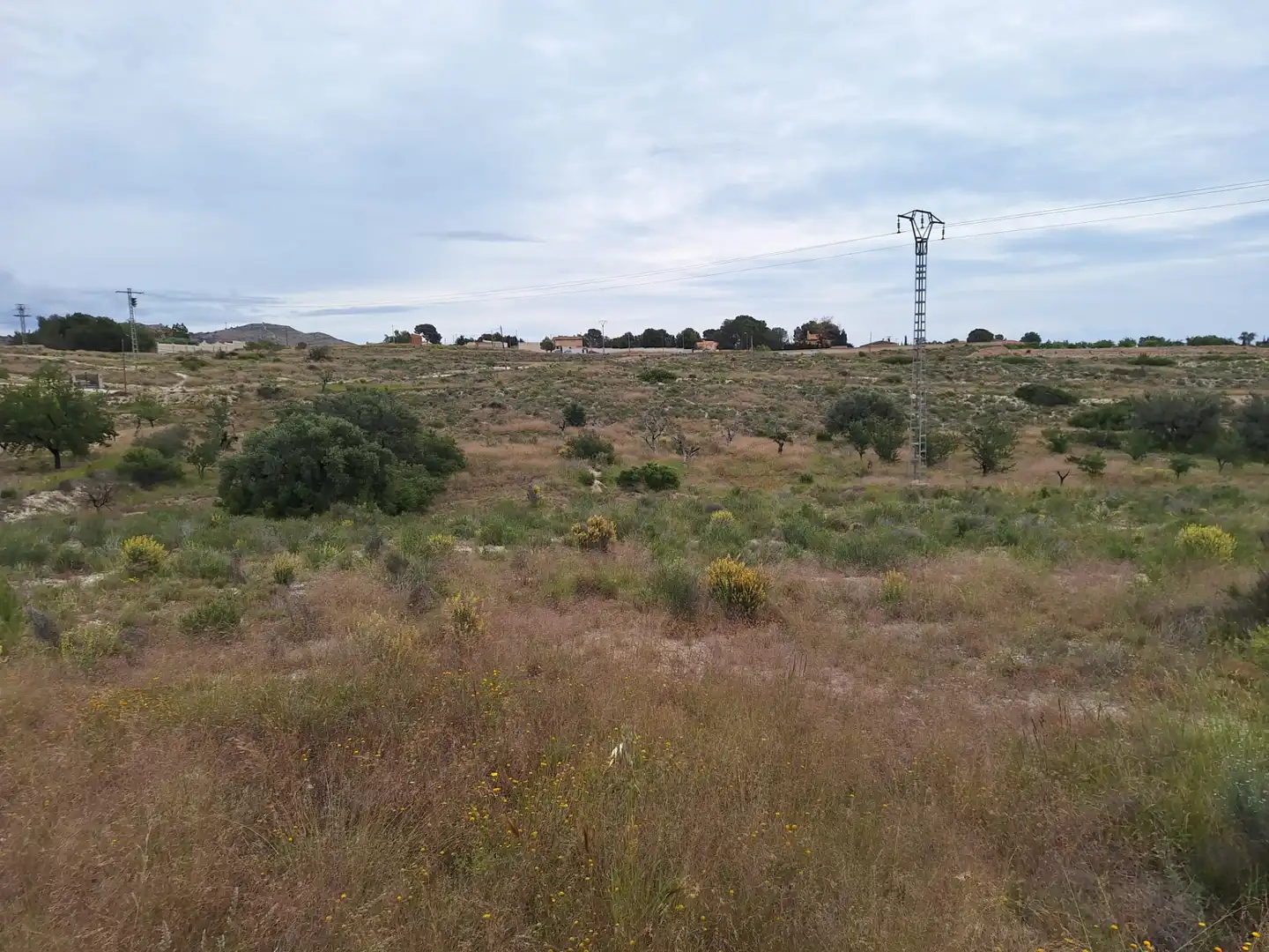 Terreny en venda en Alicante / Alacant