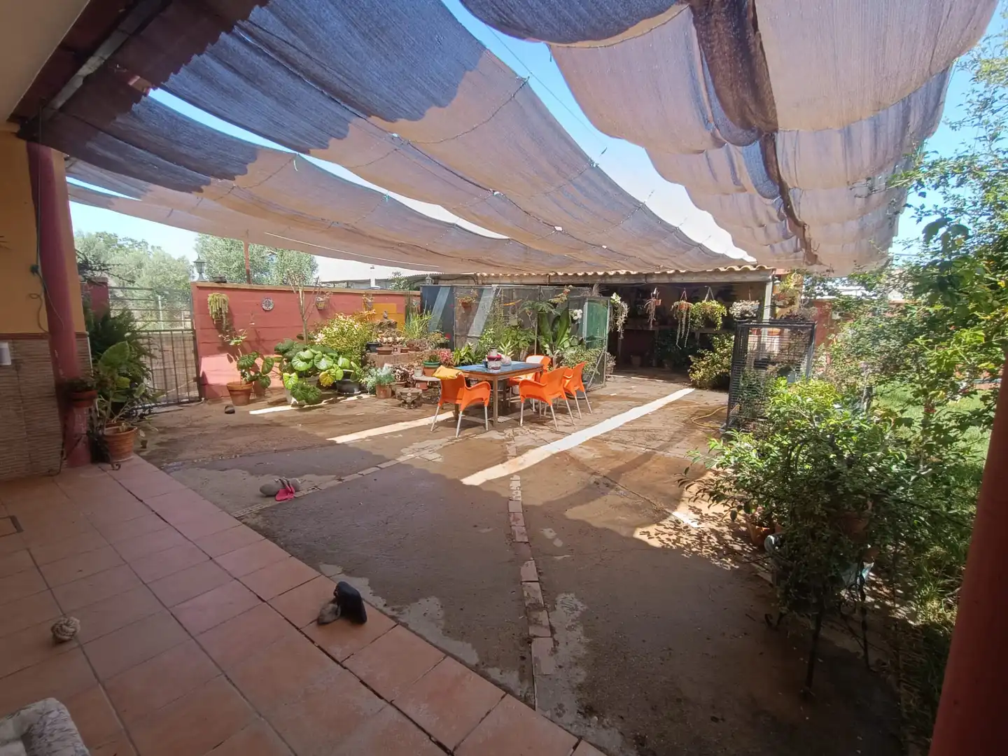 Terraza de Casa o chalet en venta en Pilas con Jardín privado y Piscina