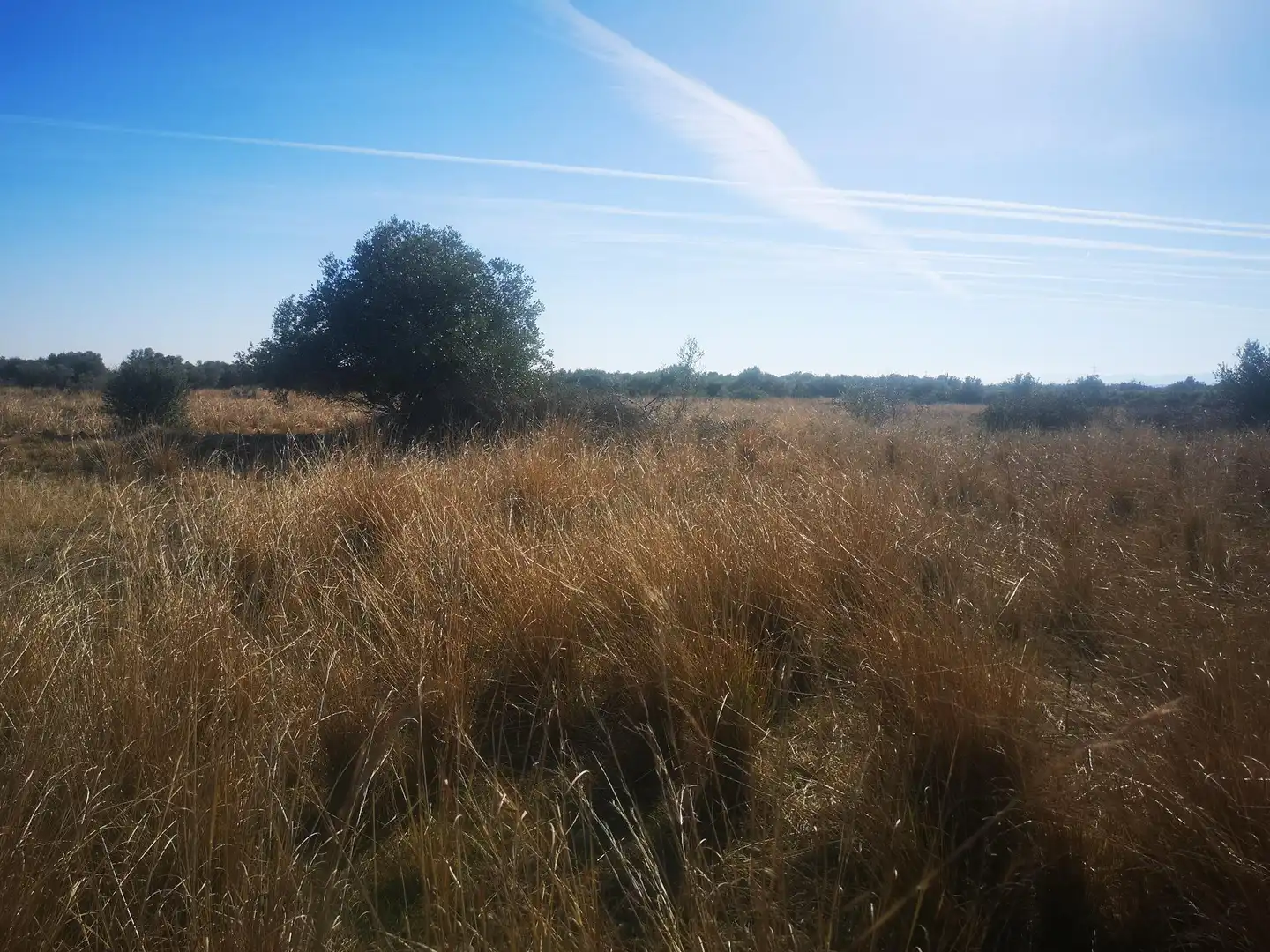 Terreno rustico in vendita a Traiguera, imagen 7