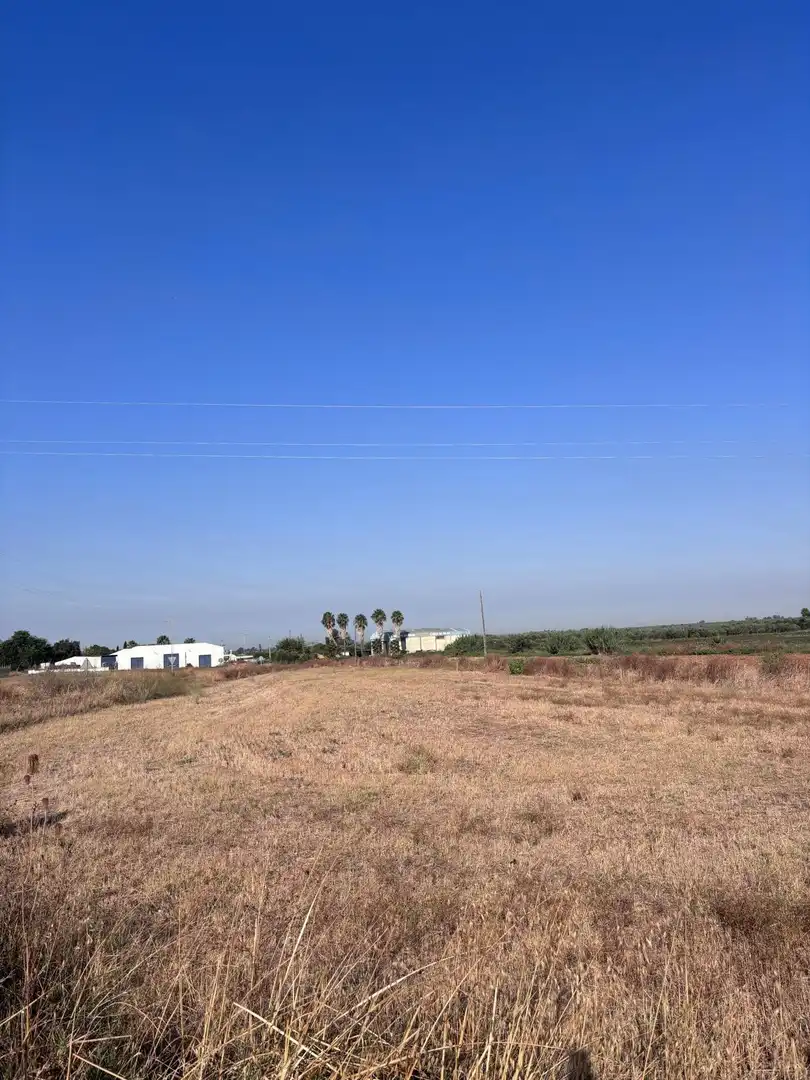 Terreny rústic en venda a Los Palacios y Villafranca, imagen 9