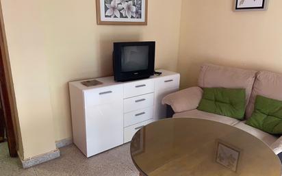 Living room of Flat to rent in  Granada Capital  with Furnished, Washing machine and Balcony