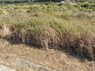 Terreno rustico in vendita a Carrer d'Ausiàs March