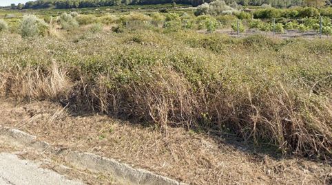 Terreno Agricola en Almiserat