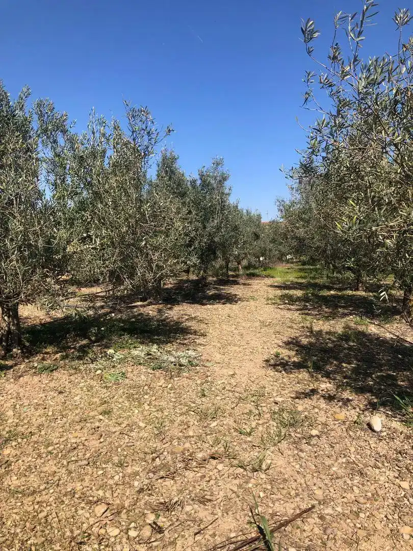 Finca rústica en venda en Olite / Erriberri