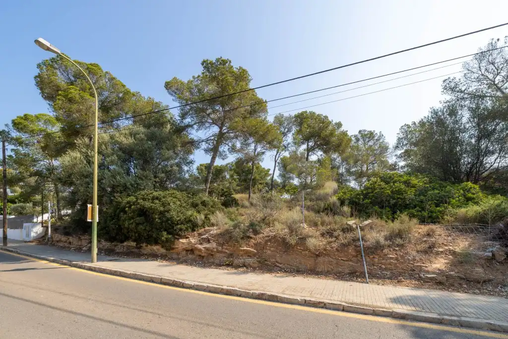 Rural land for sale in Cala Vinyes, imagen 14