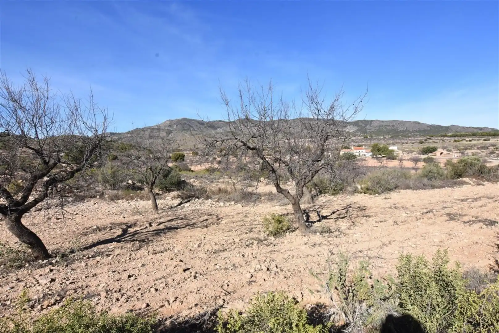 Casa o xalet en venda en Fuente Álamo de Murcia amb Jardí privat i Terrassa