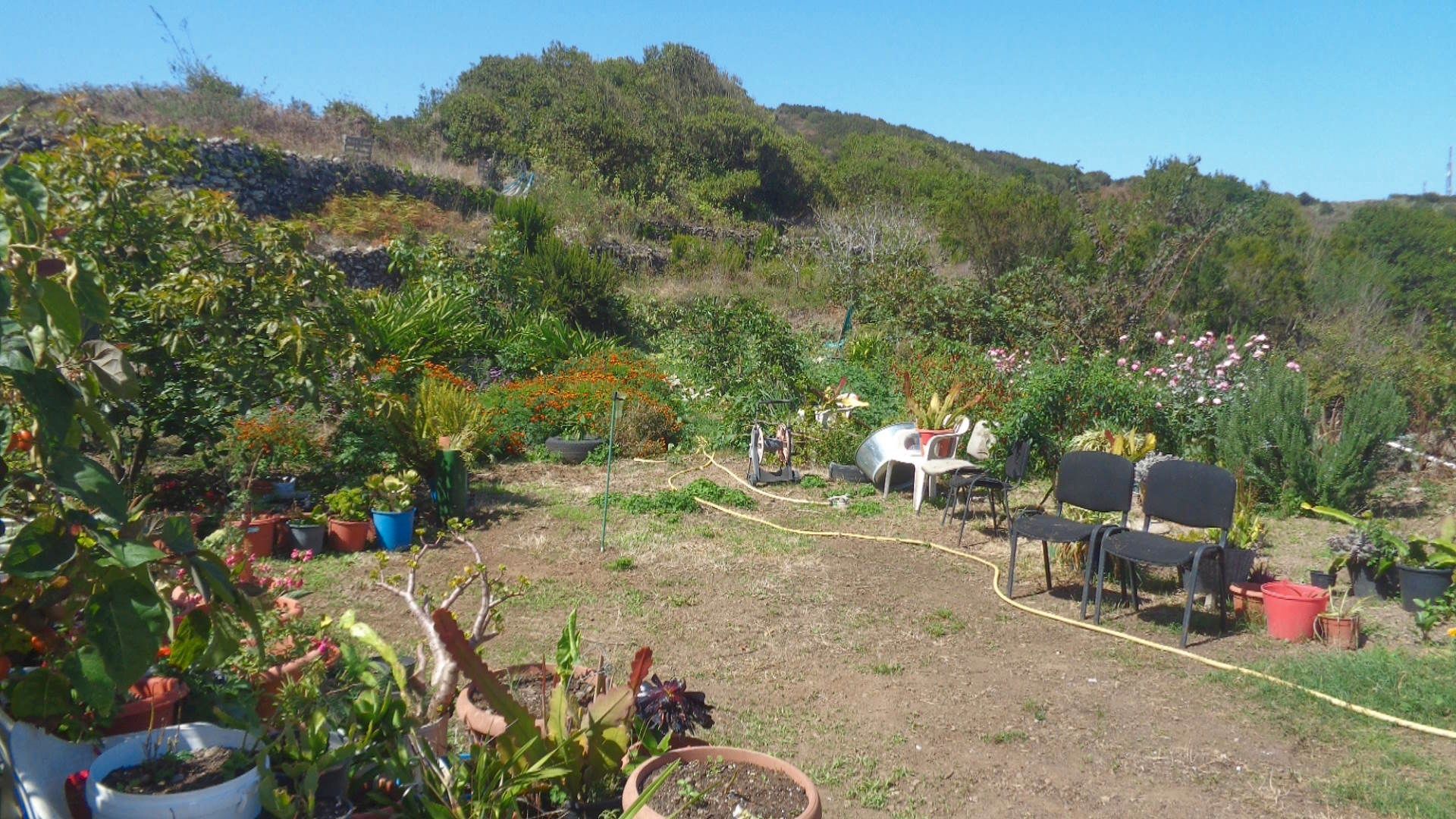 Jardí de Estudi de lloguer en El Tanque amb Aire condicionat, Moblat i Rentadora