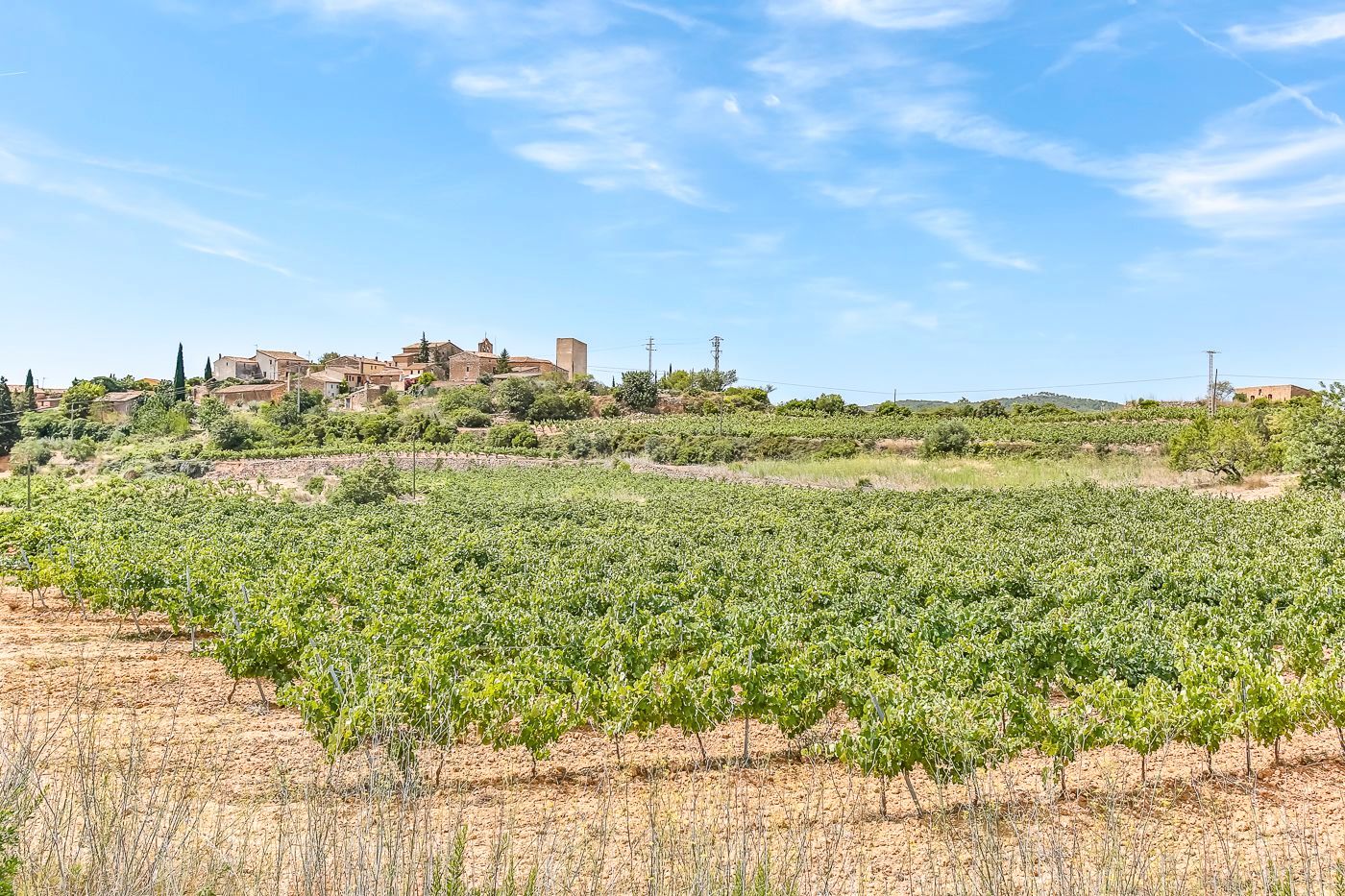 Country house zum verkauf in Masllorenç