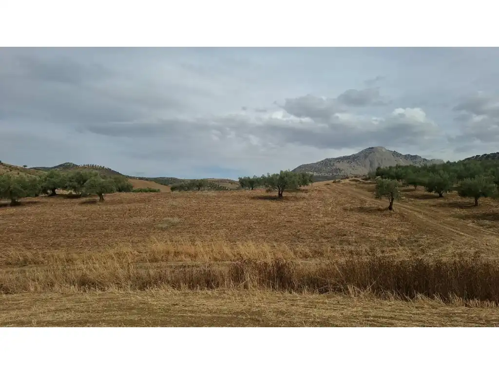 Casa rústica en venda a Terrenos Pp.4a Venta La Huerta, imagen 2
