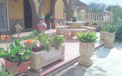 Terrace of House or chalet for sale in Fuente Álamo de Murcia  with Air Conditioner and Terrace