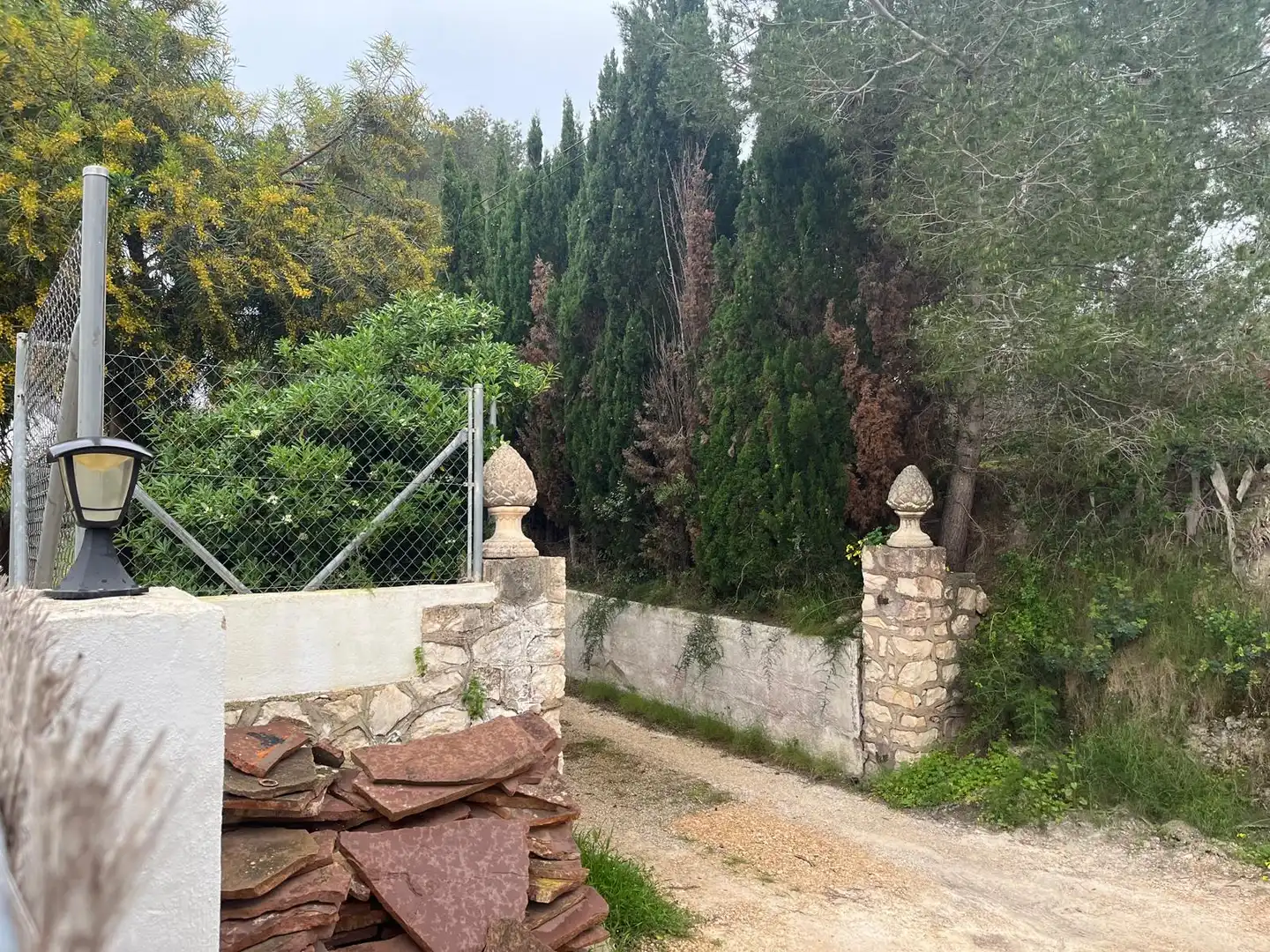 Casa en venta en Cap Martí - El Tossalet - Pinomar, imagen 41