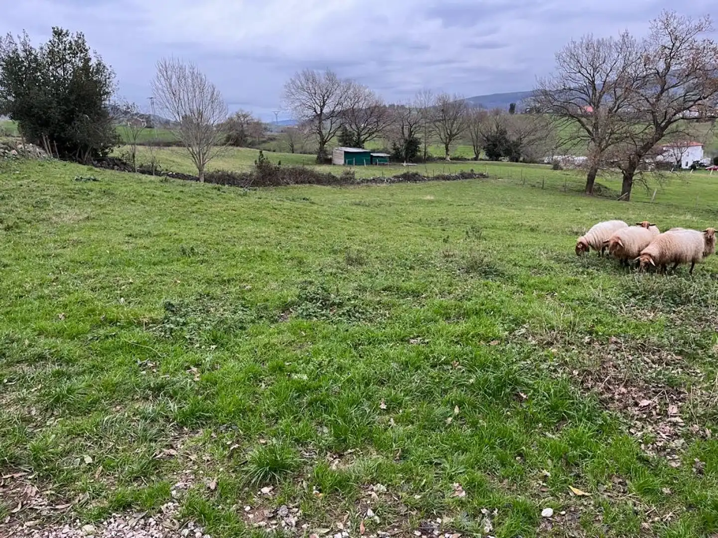 Terreno en venta en Corvera de Toranzo
