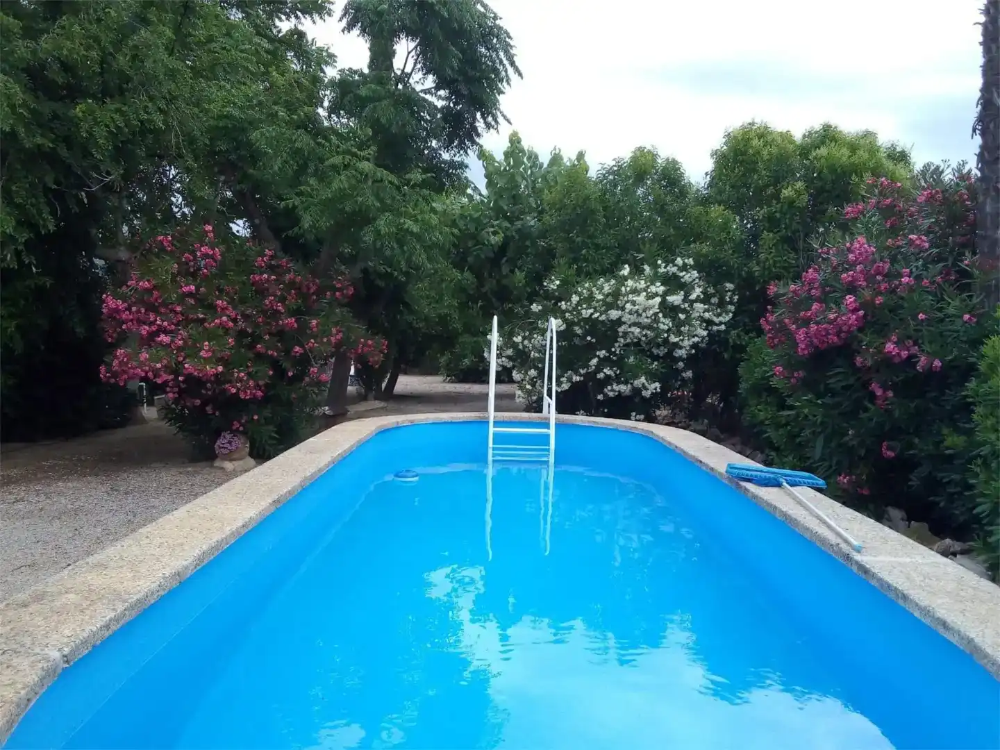 Piscina de Pis en venda en Tortosa