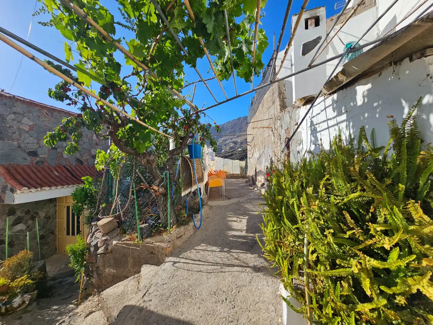 Vista exterior de Finca rústica en venta en Tejeda
