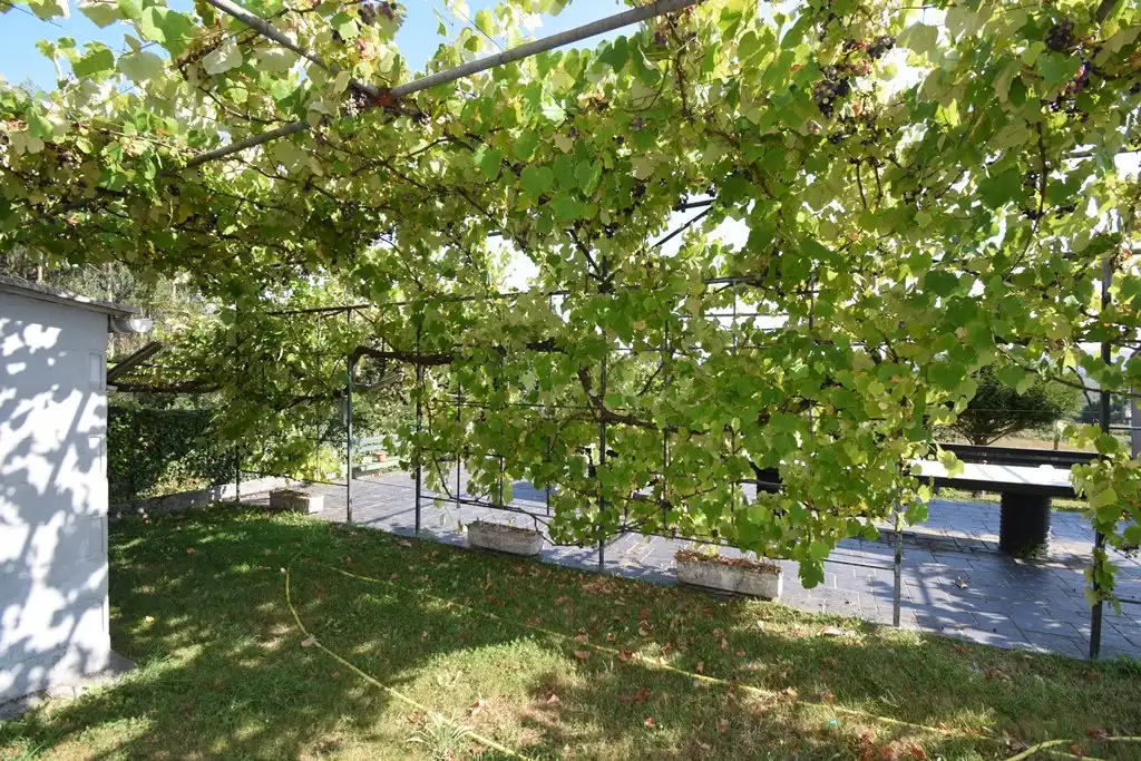 Jardí de Casa o xalet en venda en Pontedeume amb Calefacció, Jardí privat i Moblat